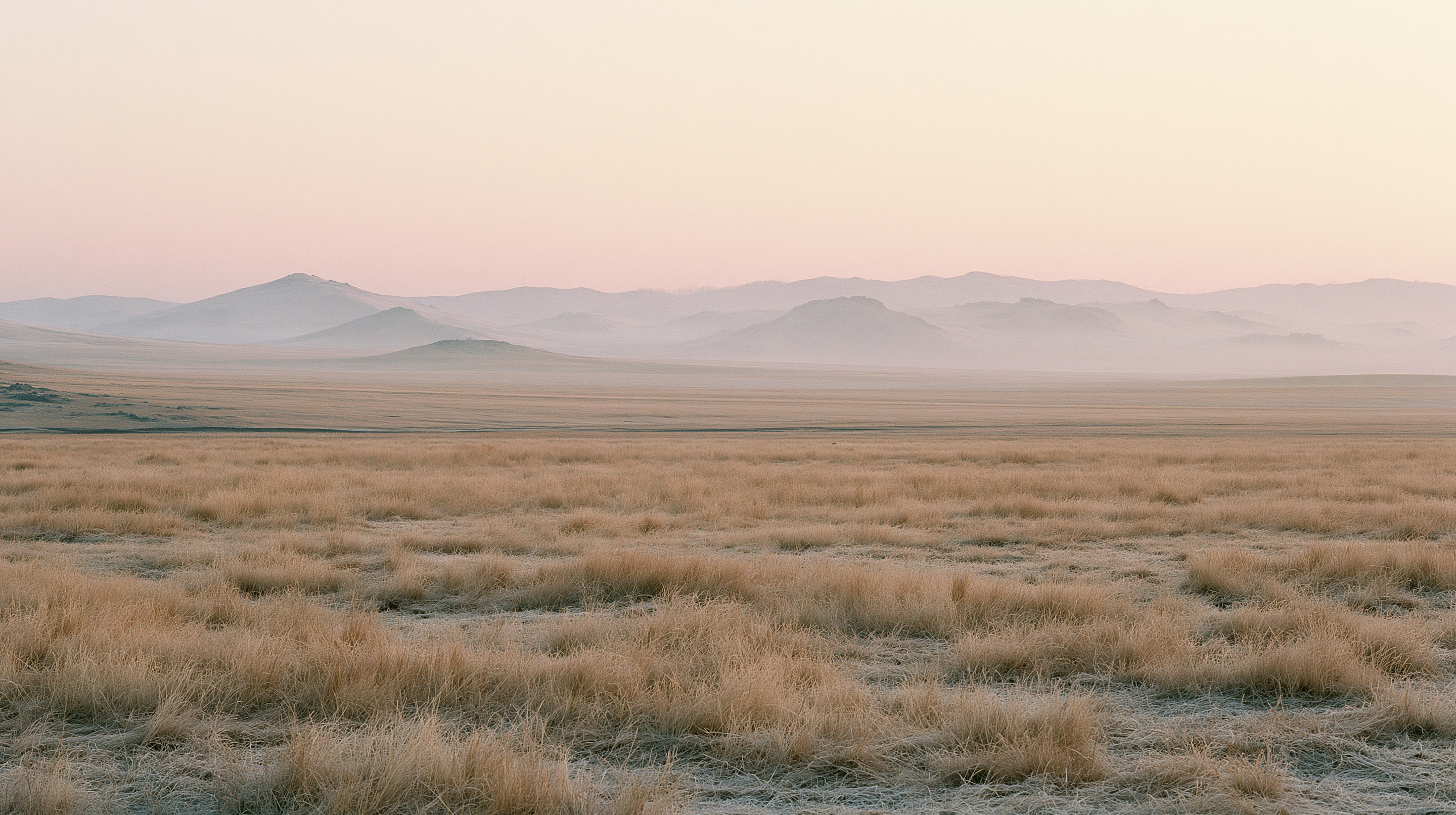 Steppes de Mongolie-Intérieure à l'aube — berceau du cachemire Atelier MAUDÉ